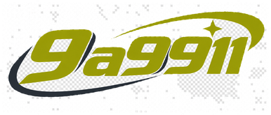 9a9911